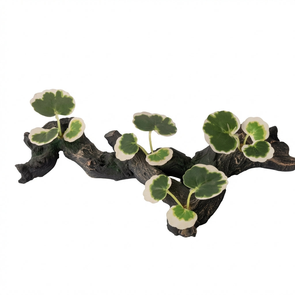 Resin Reptile Tree Branch Decoration with Suction Cups