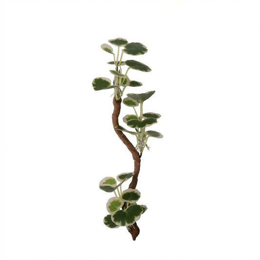 Vertical Suction Cup Reptile Terrarium Vines – Assorted Styles