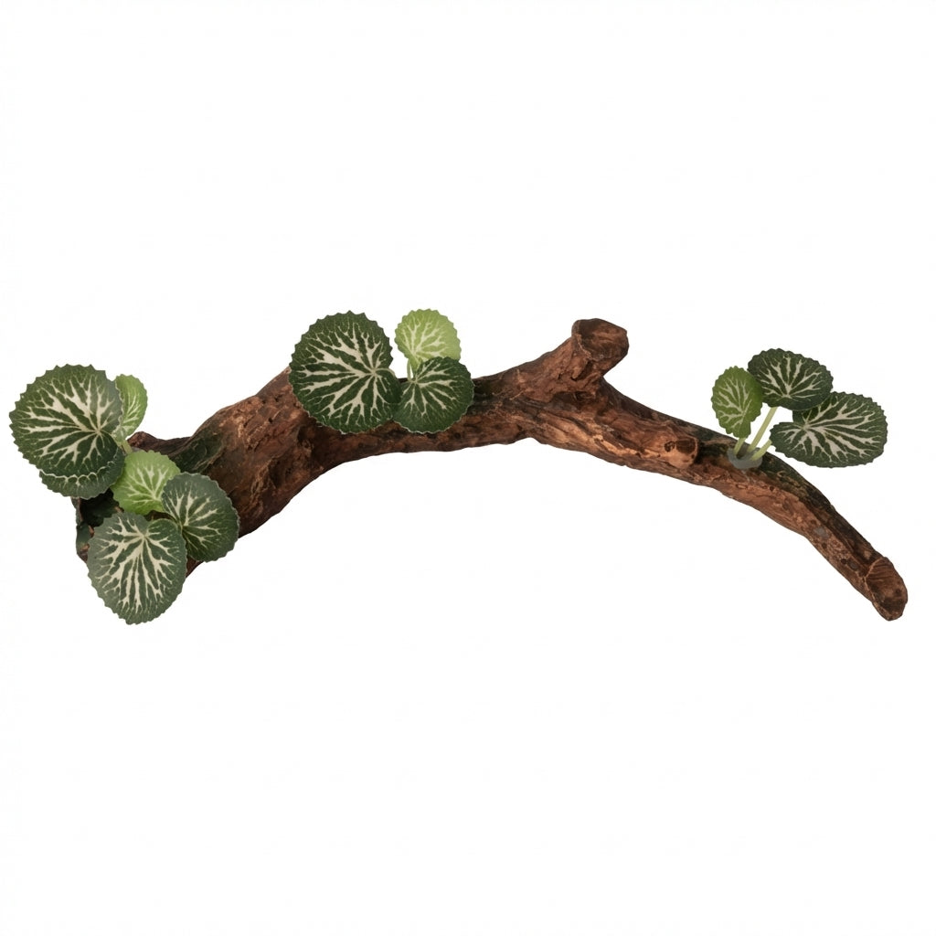 Resin Reptile Tree Branch Decoration with Suction Cups