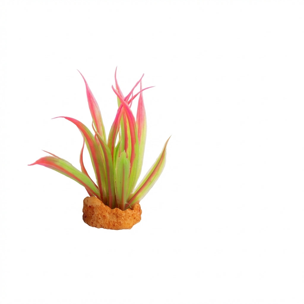 Mini Artificial Aquarium Plant Decorations – Assorted Styles