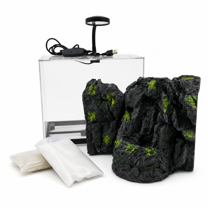 1.99 Gallon PC Betta Aquarium Kit with Rockery Landscape