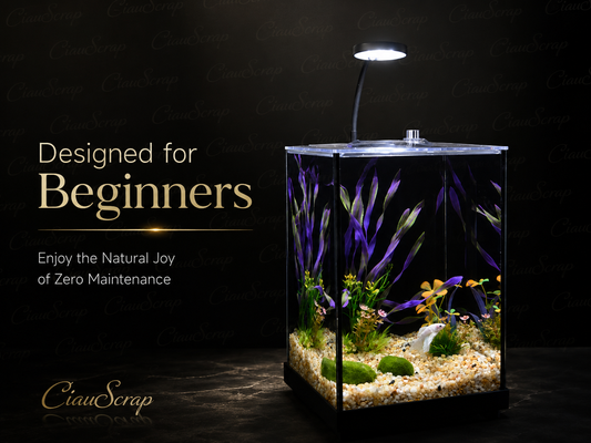 1.83 Gallon Rotating Glass Aquarium Kit with LED Light