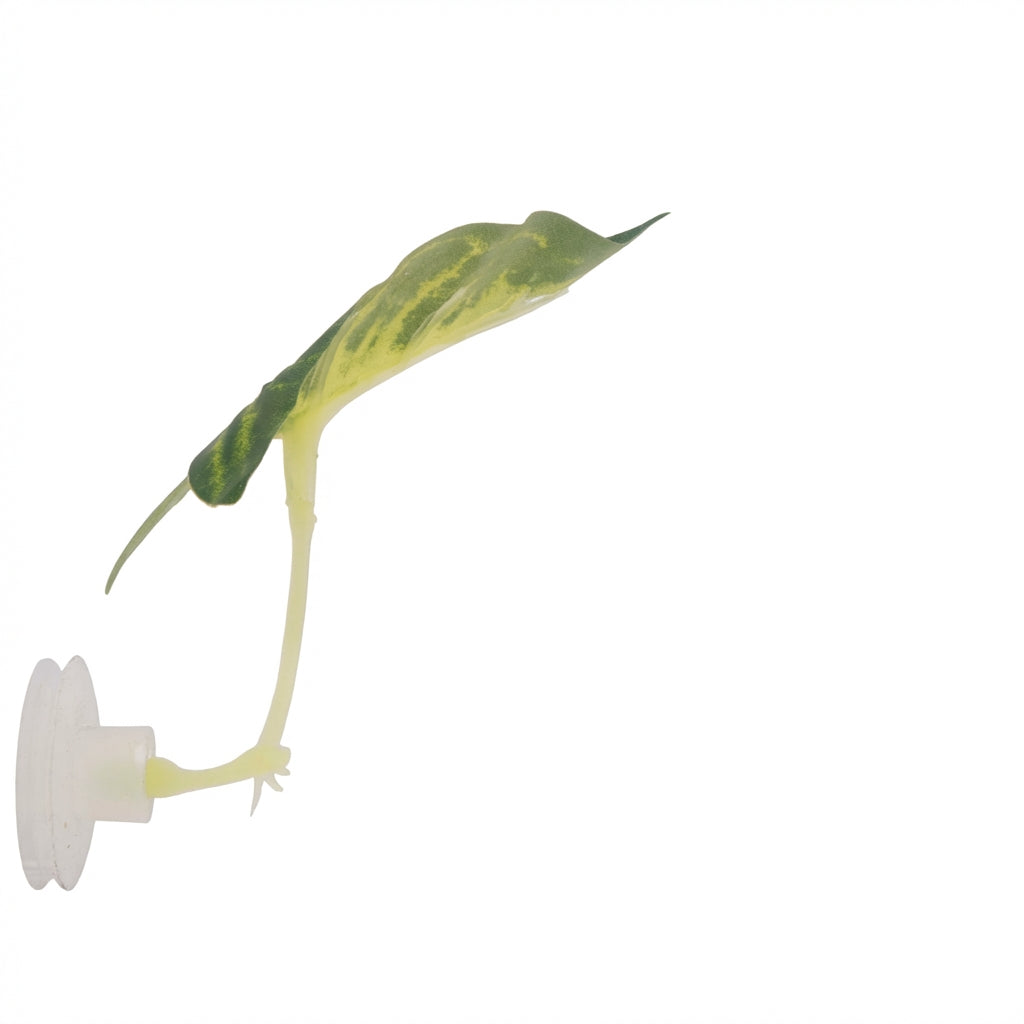 Single Long-Leaf Betta Fish Hammock with Suction Cup