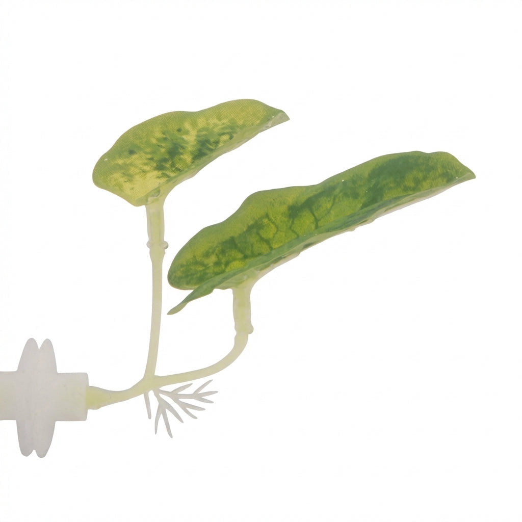 Double Long-Leaf Betta Fish Hammock with Suction Cup