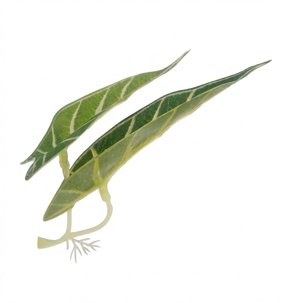 Double Long-Leaf Betta Fish Hammock with Suction Cup