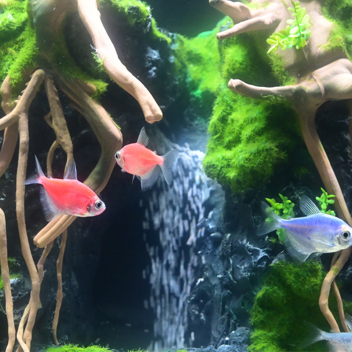 5.75 Gallon Glass Aquarium Kit with Flowing Sand Waterfall