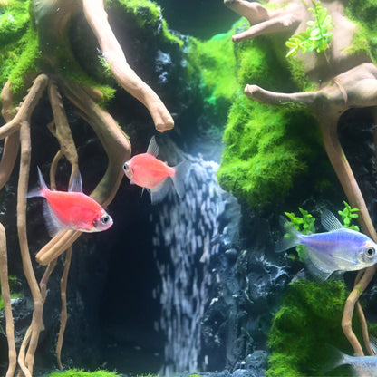 5.75 Gallon Glass Aquarium Kit with Flowing Sand Waterfall