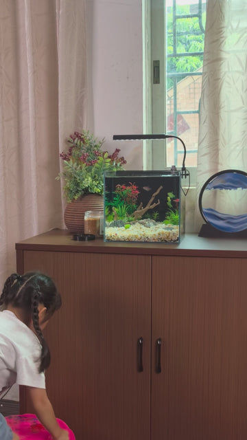 Aquarium Kit
