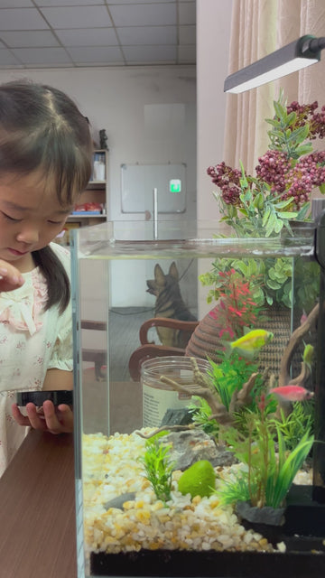 Aquarium Kit